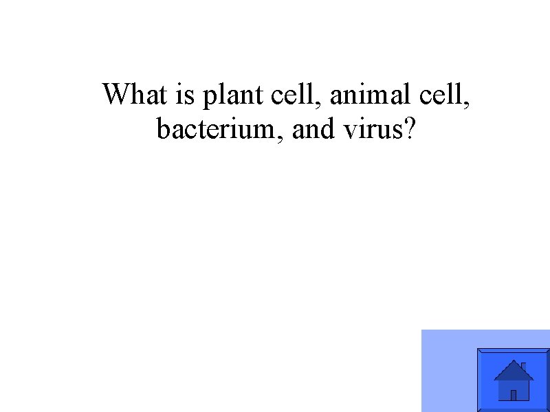 What is plant cell, animal cell, bacterium, and virus? 