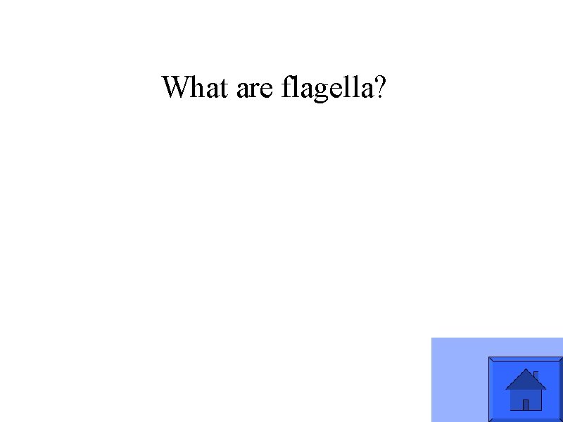 What are flagella? 