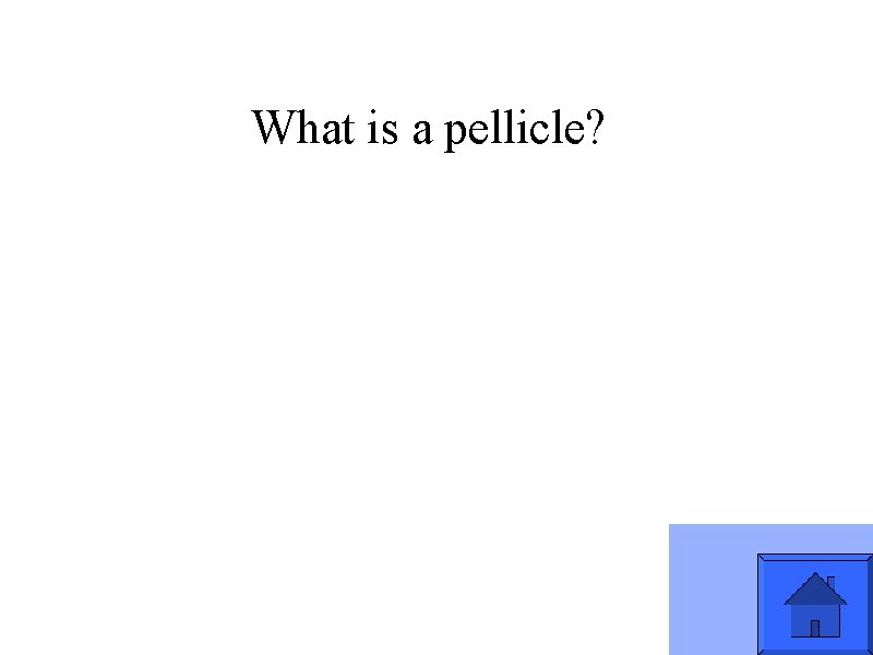 What is a pellicle? 