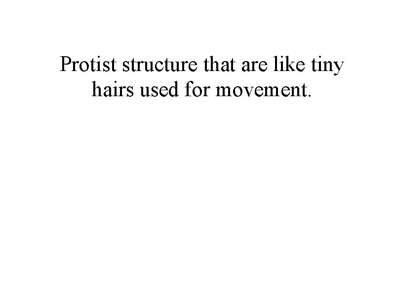Protist structure that are like tiny hairs used for movement. 