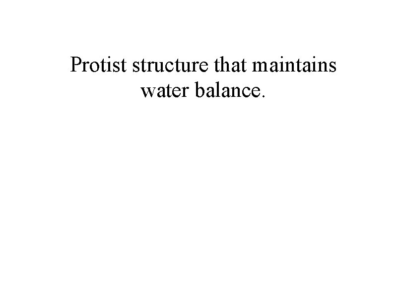 Protist structure that maintains water balance. 