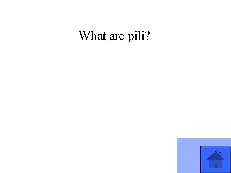 What are pili? 