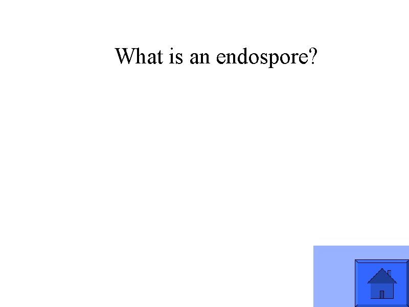 What is an endospore? 