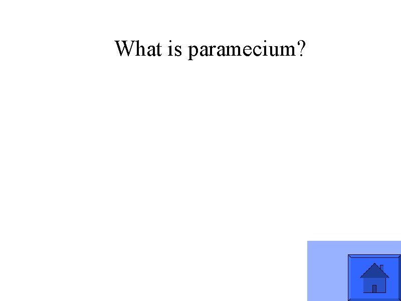What is paramecium? 