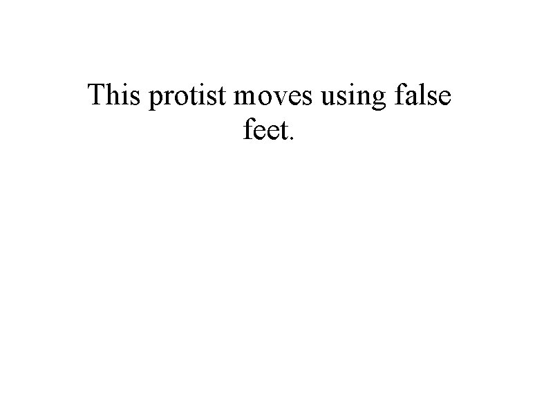 This protist moves using false feet. 