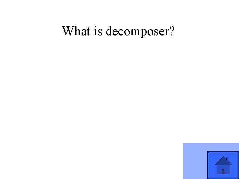 What is decomposer? 