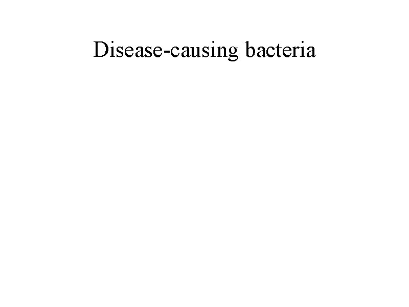 Disease-causing bacteria 