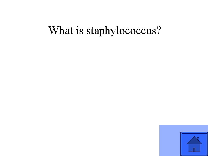What is staphylococcus? 