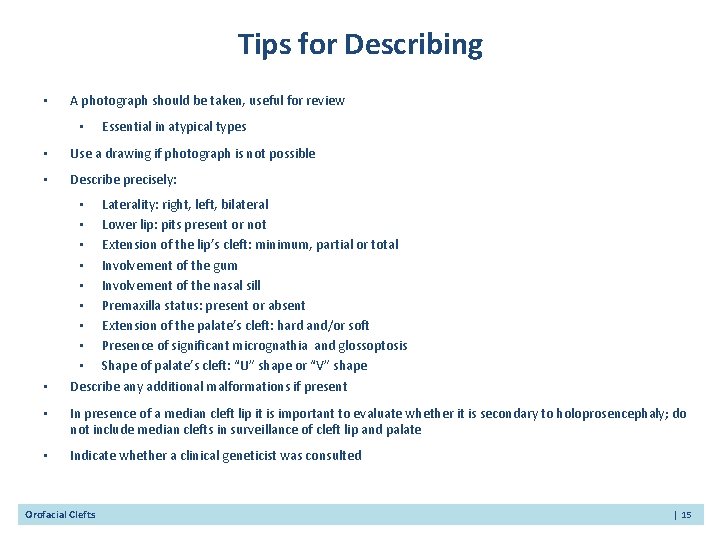 Tips for Describing • A photograph should be taken, useful for review • Essential