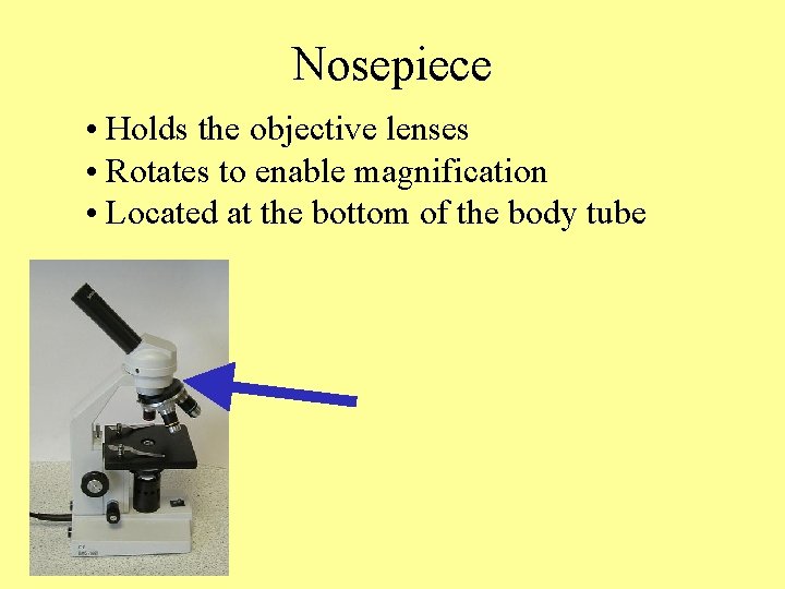 Nosepiece • Holds the objective lenses • Rotates to enable magnification • Located at