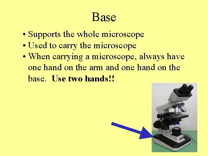 Base • Supports the whole microscope • Used to carry the microscope • When