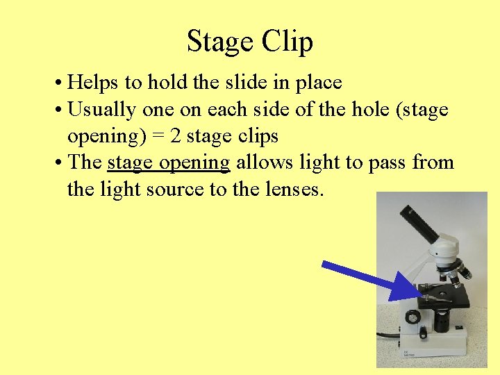 Stage Clip • Helps to hold the slide in place • Usually one on