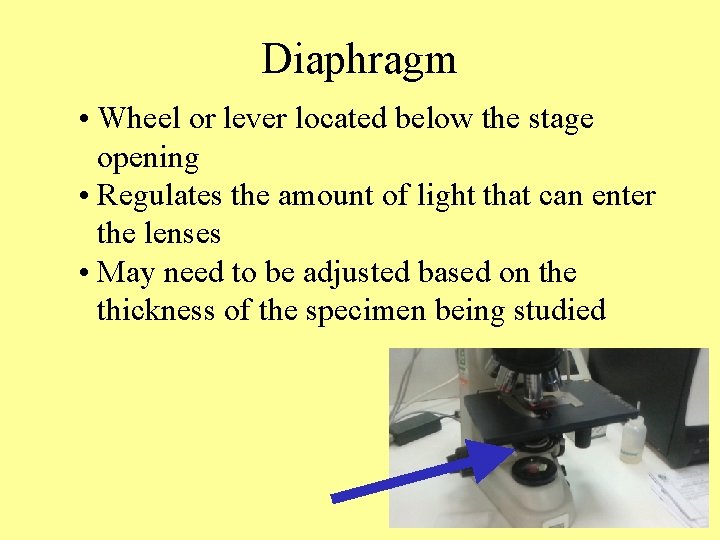 Diaphragm • Wheel or lever located below the stage opening • Regulates the amount