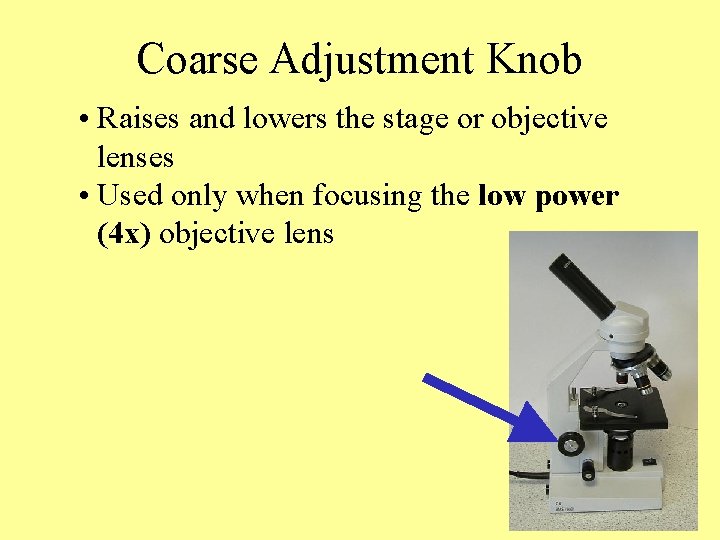 Coarse Adjustment Knob • Raises and lowers the stage or objective lenses • Used