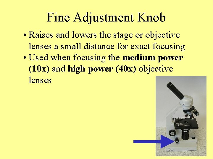 Fine Adjustment Knob • Raises and lowers the stage or objective lenses a small