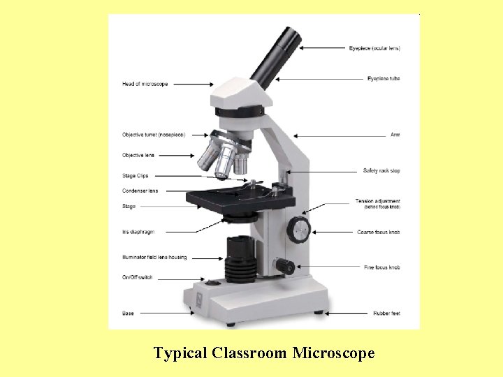 Typical Classroom Microscope 