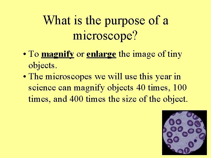 What is the purpose of a microscope? • To magnify or enlarge the image