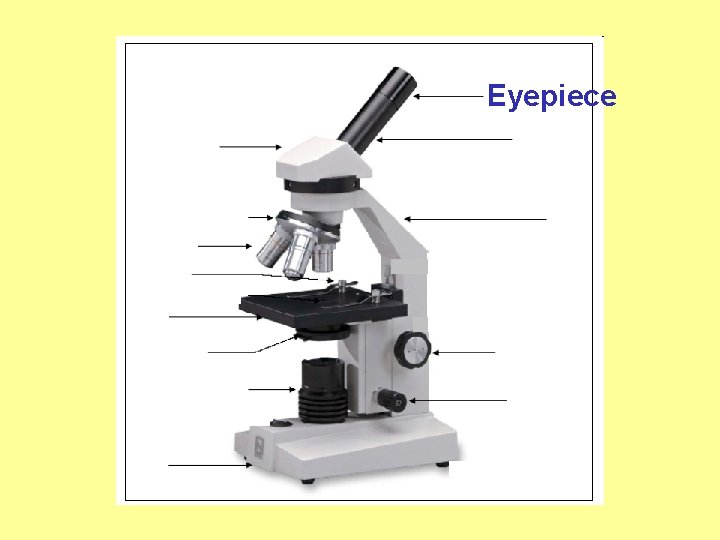 Eyepiece 