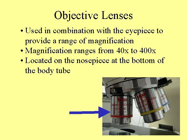 Objective Lenses • Used in combination with the eyepiece to provide a range of