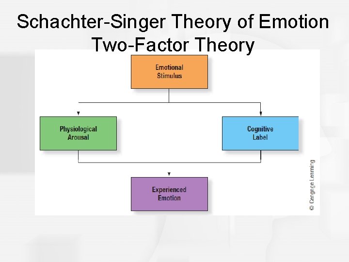 Schachter-Singer Theory of Emotion Two-Factor Theory 