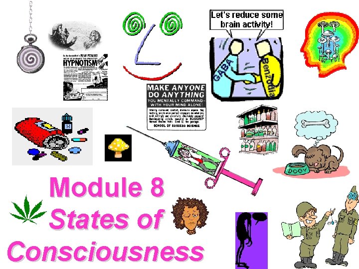 Module 8 States of Consciousness 