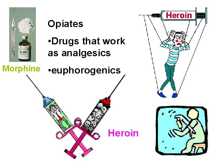 Opiates • Drugs that work as analgesics Morphine • euphorogenics Heroin 