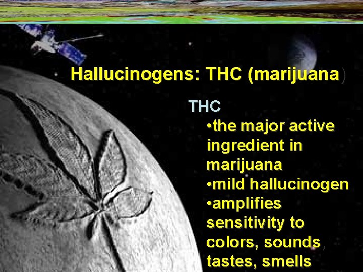 Hallucinogens: THC (marijuana) THC • the major active ingredient in marijuana • mild hallucinogen