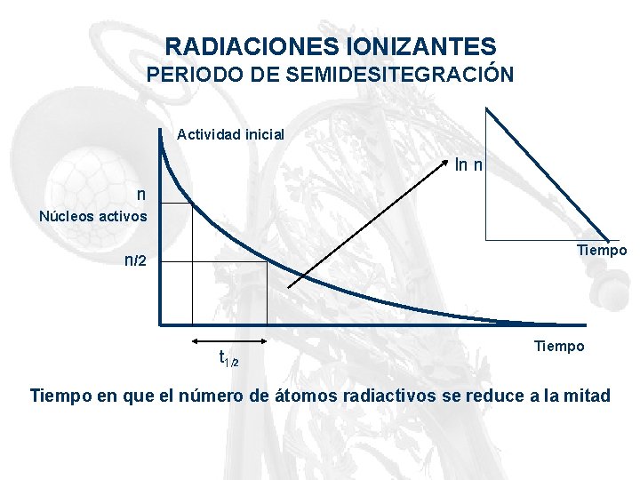 RADIACIONES IONIZANTES PERIODO DE SEMIDESITEGRACIÓN Actividad inicial ln n n Núcleos activos Tiempo n/2