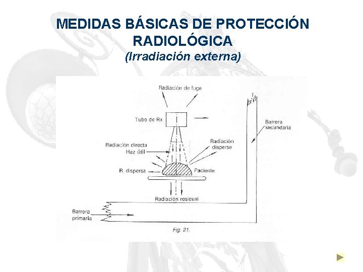 MEDIDAS BÁSICAS DE PROTECCIÓN RADIOLÓGICA (Irradiación externa) 