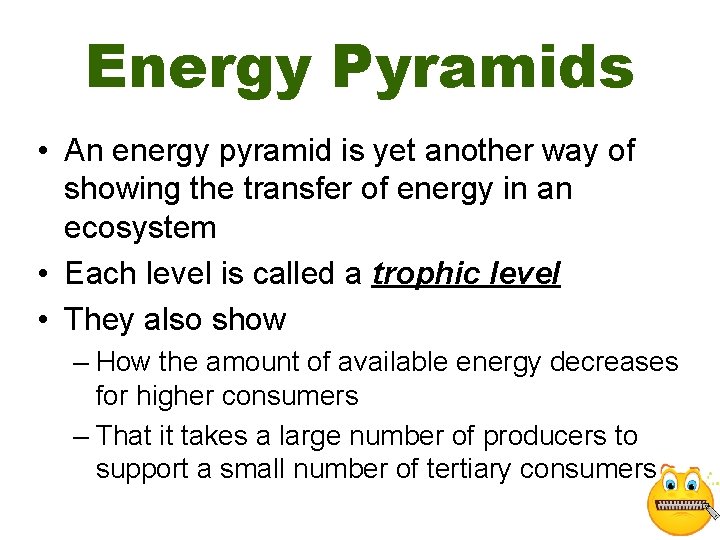 Energy Pyramids • An energy pyramid is yet another way of showing the transfer