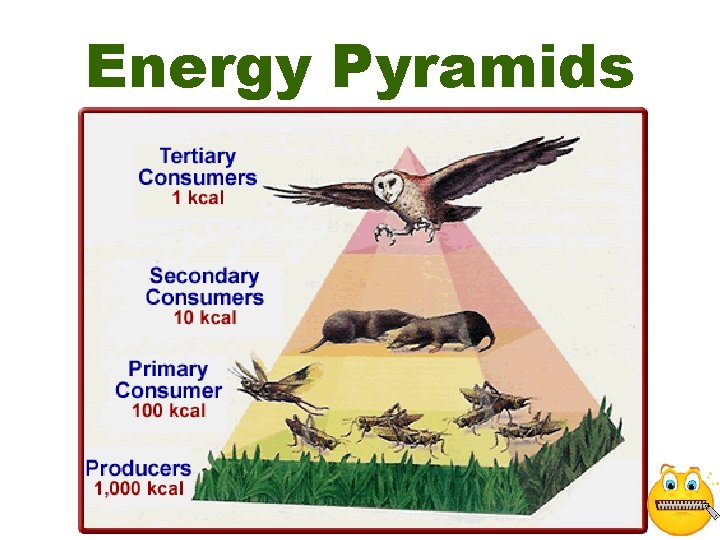 Energy Pyramids 