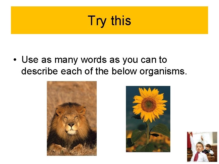 Try this • Use as many words as you can to describe each of