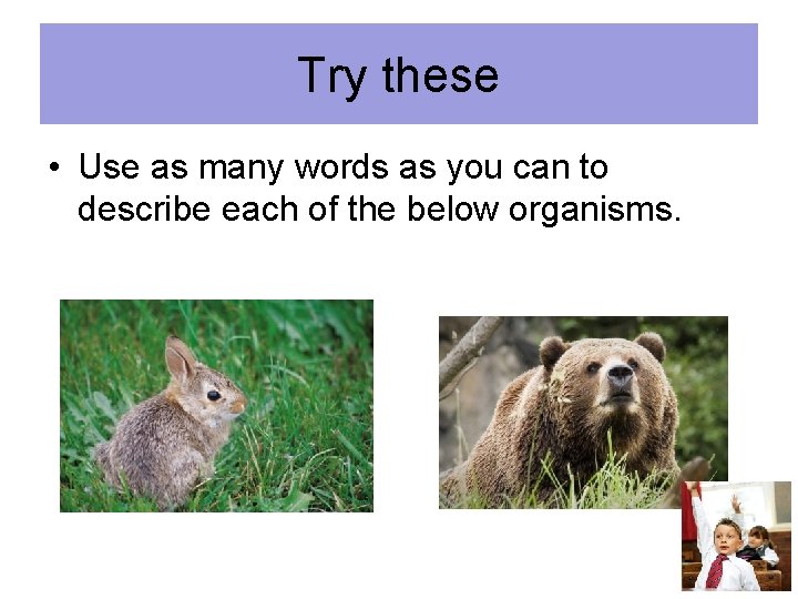 Try these • Use as many words as you can to describe each of