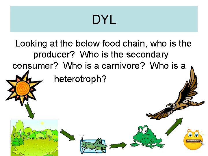 DYL Looking at the below food chain, who is the producer? Who is the