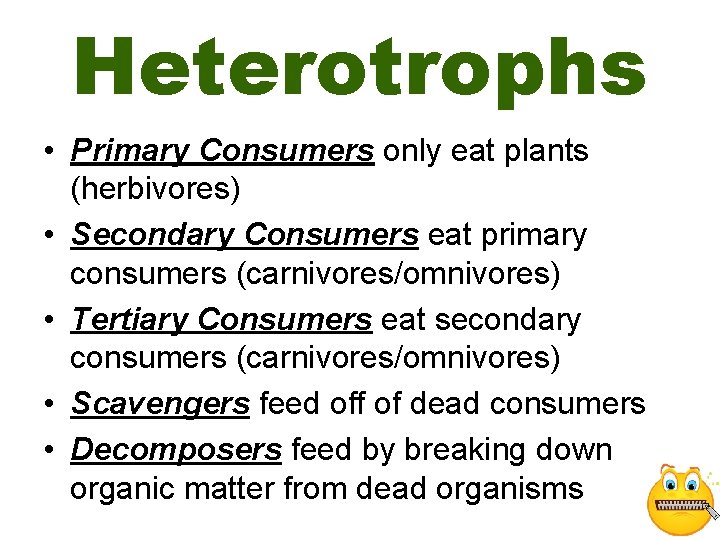 Heterotrophs • Primary Consumers only eat plants (herbivores) • Secondary Consumers eat primary consumers