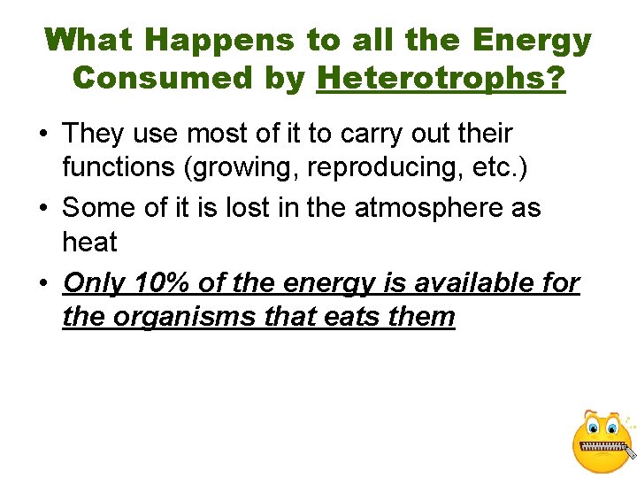 What Happens to all the Energy Consumed by Heterotrophs? • They use most of