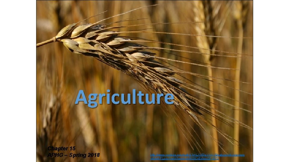 Agriculture Chapter 15 APHG – Spring 2018 http: //www. youtube. com/watch? v=LX 153 e.