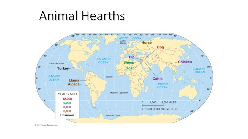 Animal Hearths 