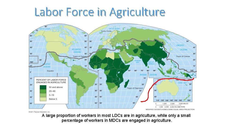 Labor Force in Agriculture A large proportion of workers in most LDCs are in