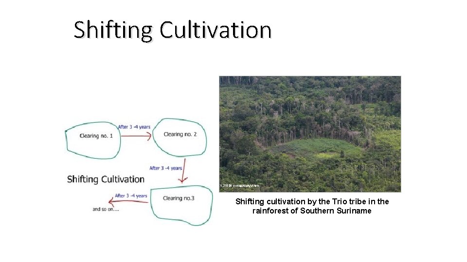 Shifting Cultivation Shifting cultivation by the Trio tribe in the rainforest of Southern Suriname