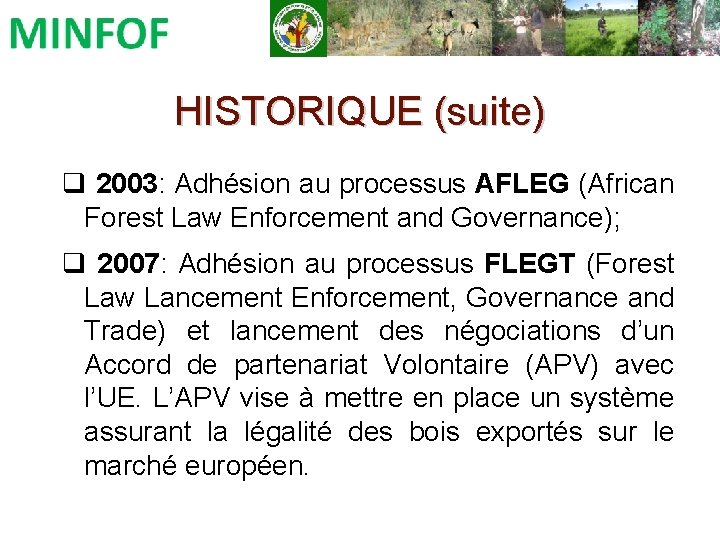 HISTORIQUE (suite) q 2003: Adhésion au processus AFLEG (African Forest Law Enforcement and Governance);