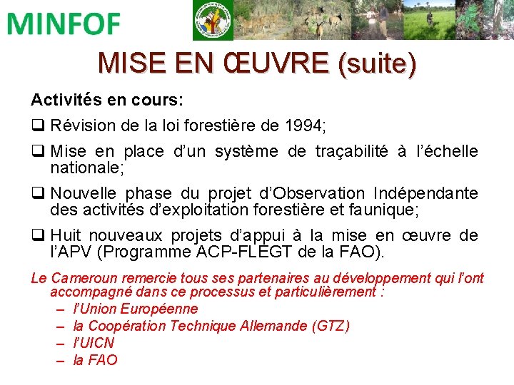 MISE EN ŒUVRE (suite) Activités en cours: q Révision de la loi forestière de