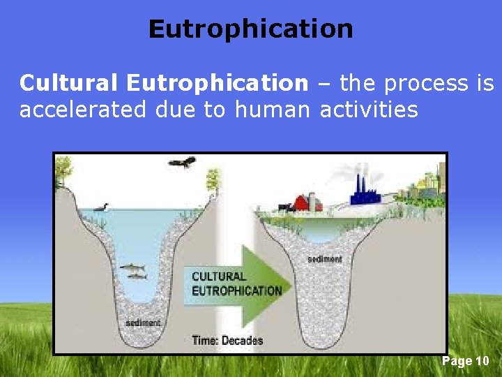 Eutrophication Cultural Eutrophication – the process is accelerated due to human activities Page 10