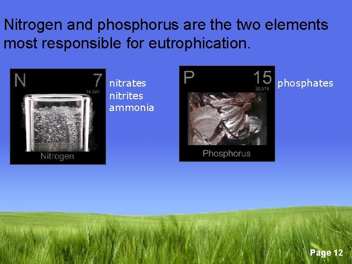 Nitrogen and phosphorus are the two elements most responsible for eutrophication. nitrates nitrites ammonia