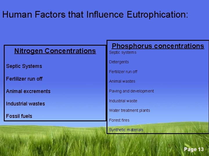 Human Factors that Influence Eutrophication: Nitrogen Concentrations Septic Systems Phosphorus concentrations Septic systems Detergents