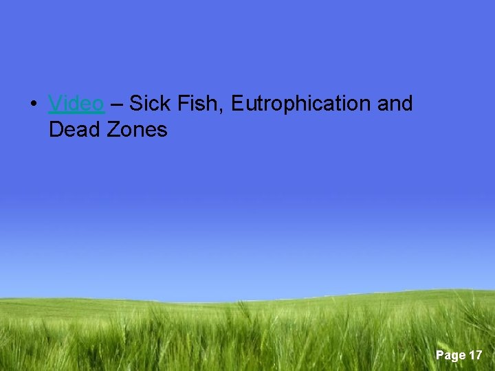  • Video – Sick Fish, Eutrophication and Dead Zones Page 17 