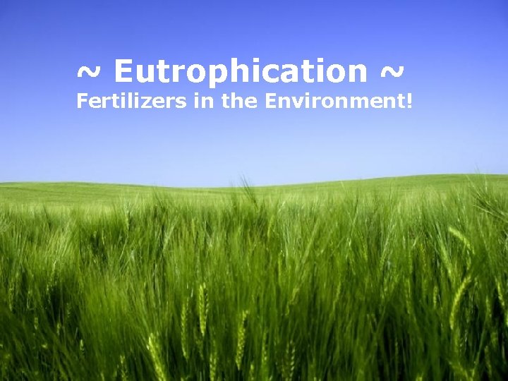 ~ Eutrophication ~ Fertilizers in the Environment! Page 8 