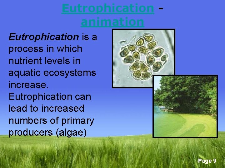 Eutrophication animation Eutrophication is a process in which nutrient levels in aquatic ecosystems increase.
