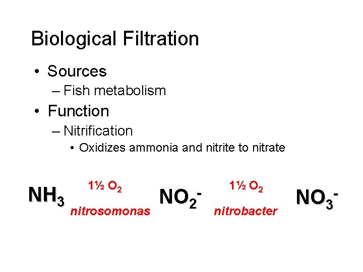 Biological Filtration • Sources – Fish metabolism • Function – Nitrification • Oxidizes ammonia