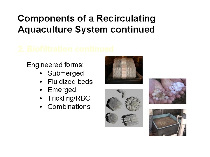 Components of a Recirculating Aquaculture System continued 2. Biofiltration continued Engineered forms: • Submerged